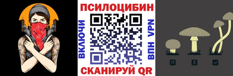 Галлюциногенные грибы Psilocybe  Электросталь 
